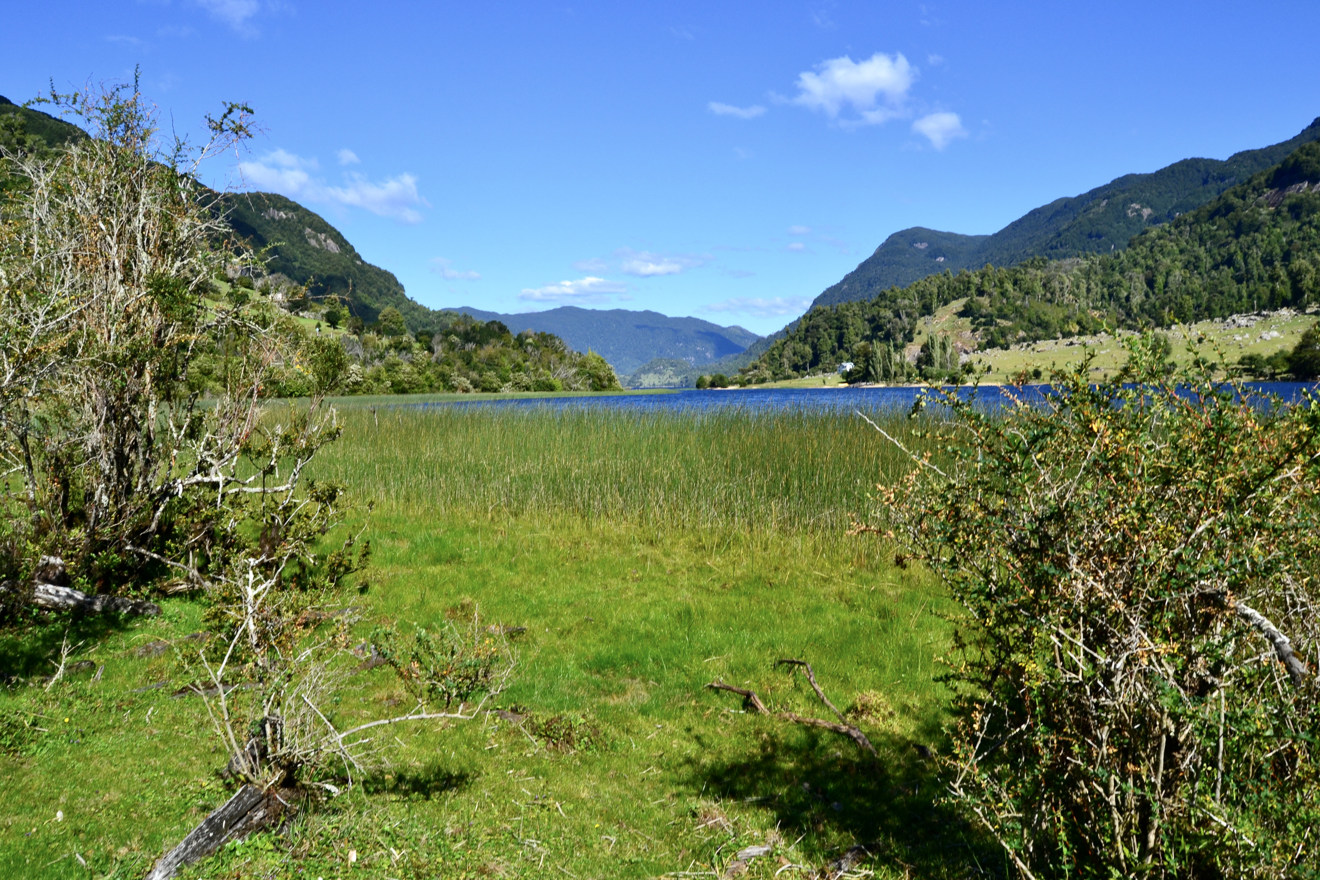 Lago Portales rodeado de bosque nativo y montañas