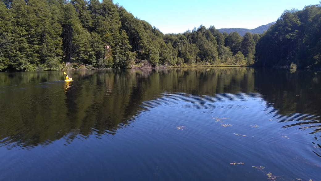 Kayak solitario en lago rodeado de bosque nativo