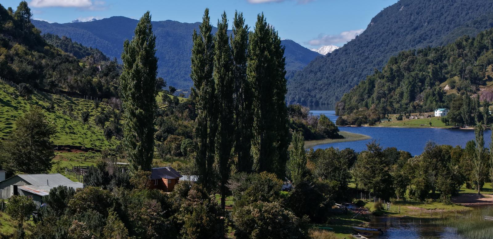 Cabaña junto a Lago Portales rodeada de bosque nativo