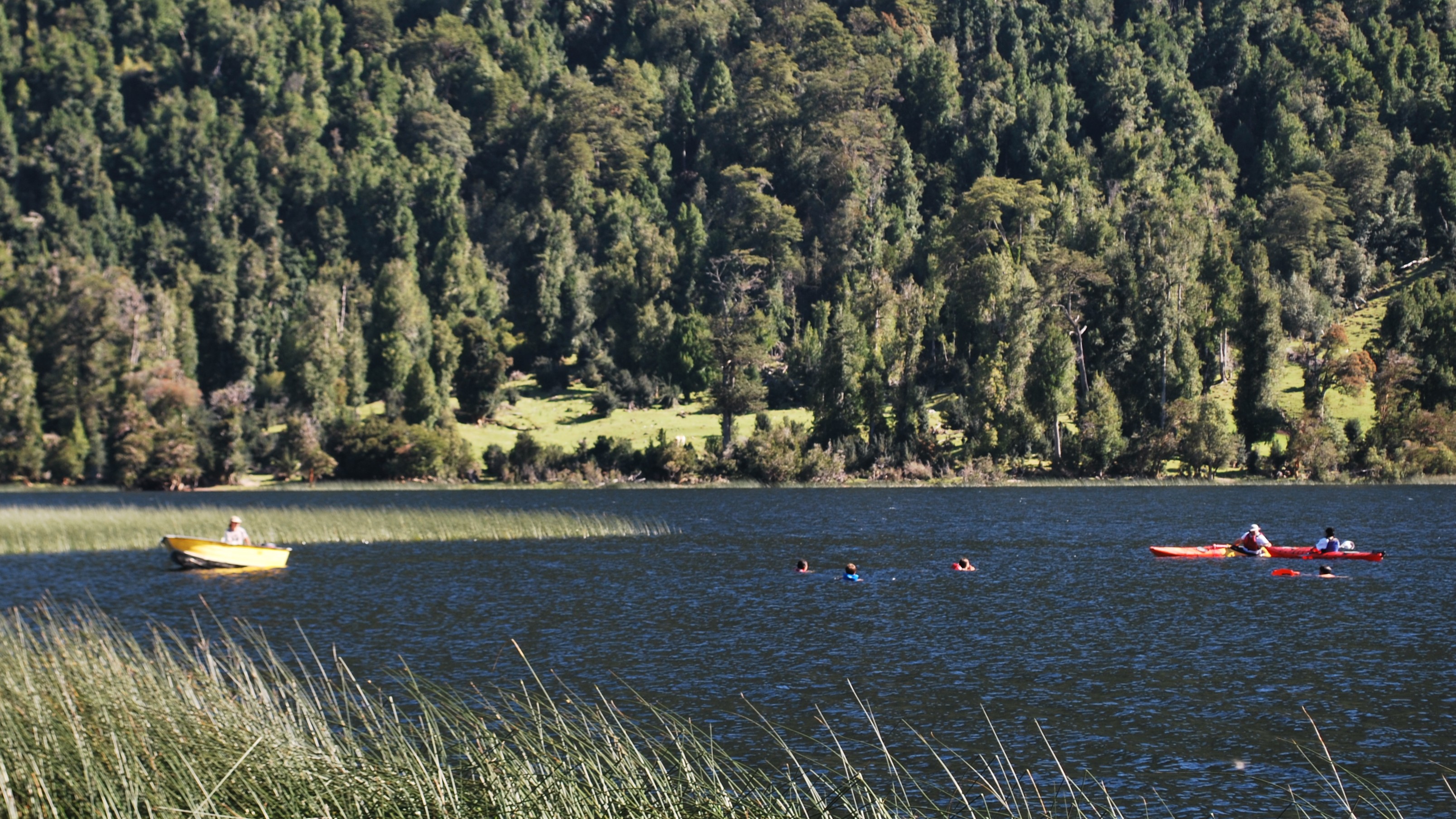 Personas nadando y navegando en kayak en Lago Portales